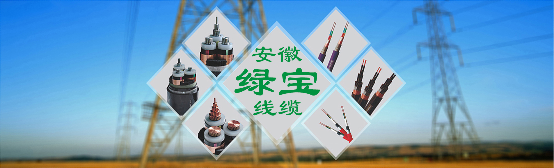 绿宝特种球友会:0551-64203668